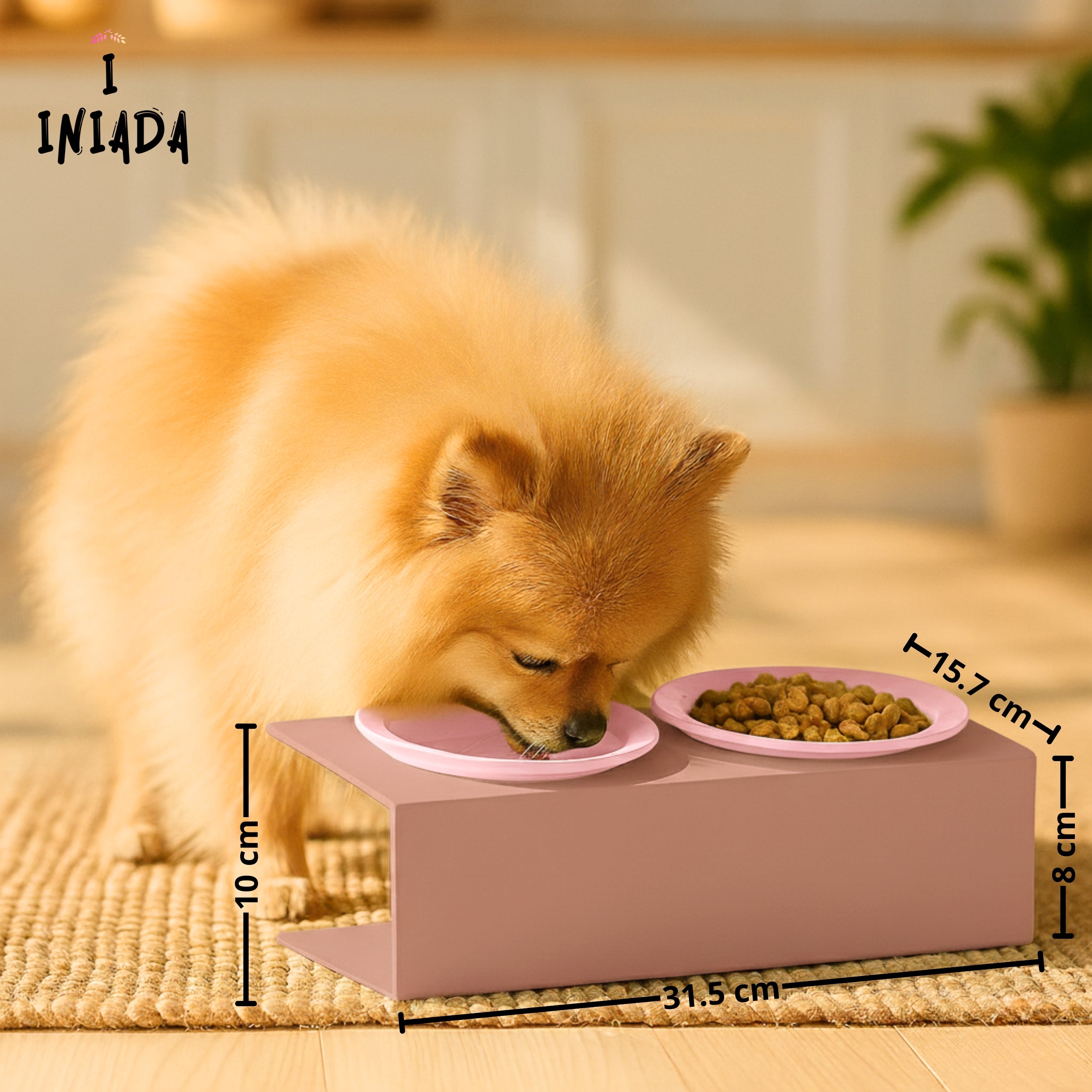 Comedero Gato/ Perro elevado Lila