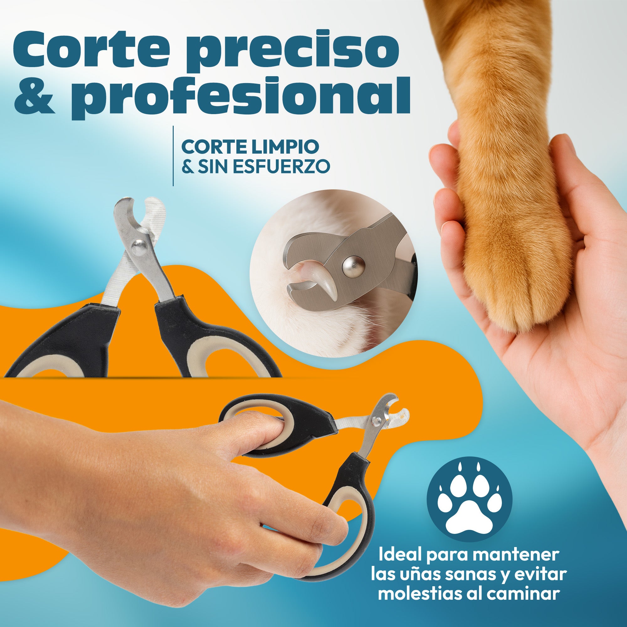 ✂️ CORTAUÑAS MASCOTA PEQUEÑO