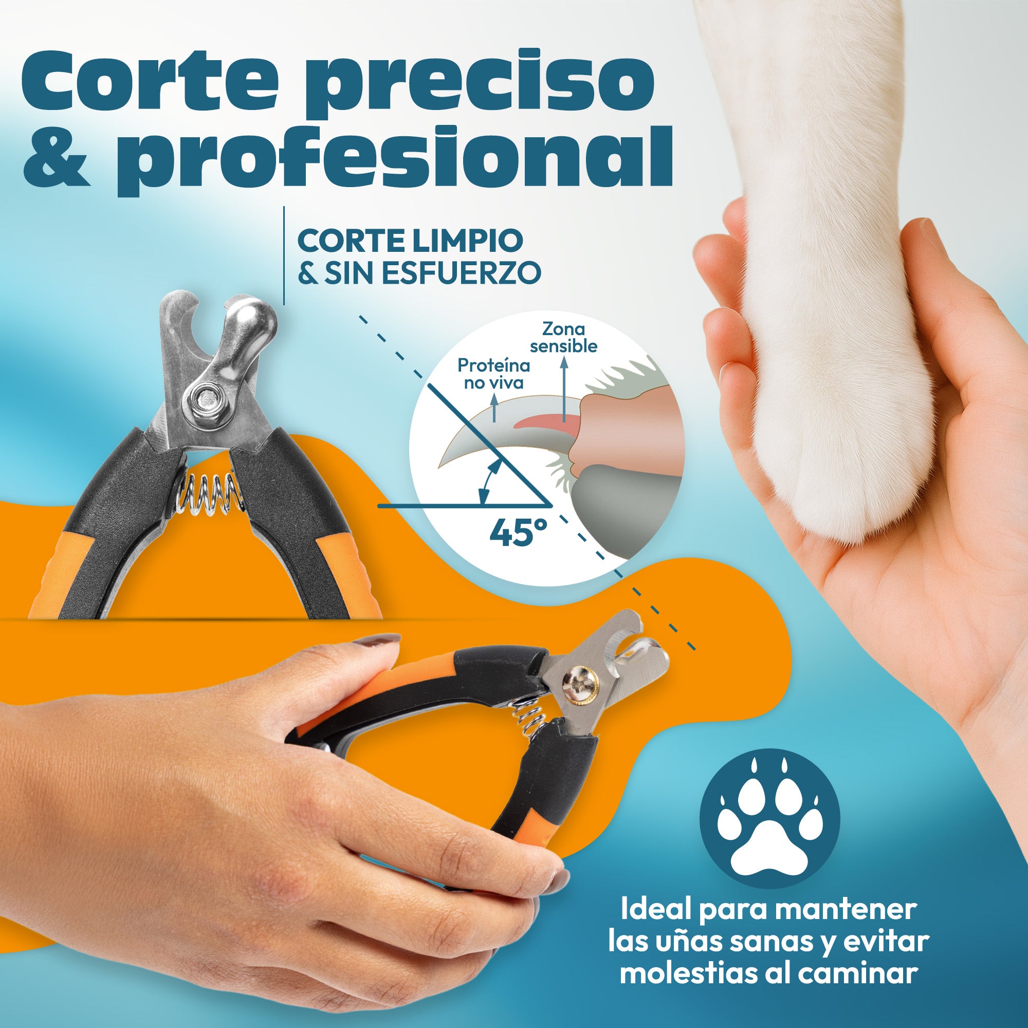 ✂️ CORTAUÑAS MASCOTAS MEDIANAS Y PEQUEÑAS