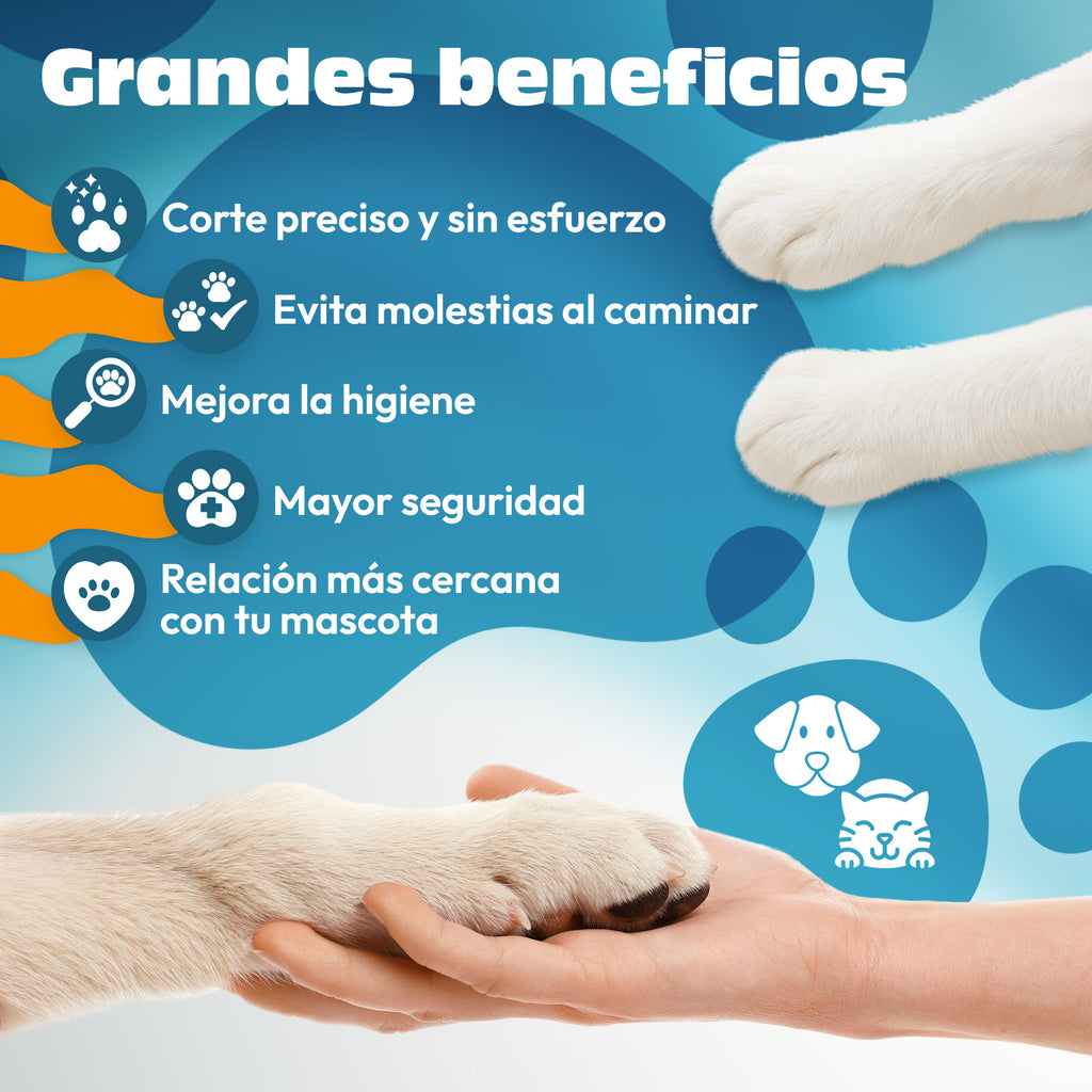 ✂️ CORTAUÑAS MASCOTAS MEDIANAS Y PEQUEÑAS